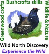 Wild North Discovery © Wild North Discovery Wild North Discovery © Wild North Discovery