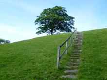 Path to the hay meadows in Ireshopeburn © NPAP/Gearoid Murphy