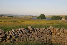 Hannah&#039;s Meadow © NPAP/Shane Harris